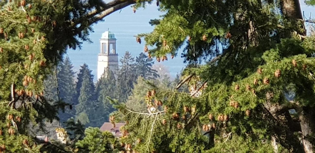 Alpenblick 3 Διαμέρισμα Bodolz Εξωτερικό φωτογραφία