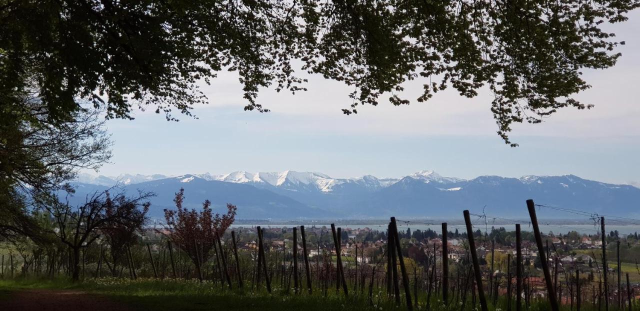 Alpenblick 3 Διαμέρισμα Bodolz Εξωτερικό φωτογραφία