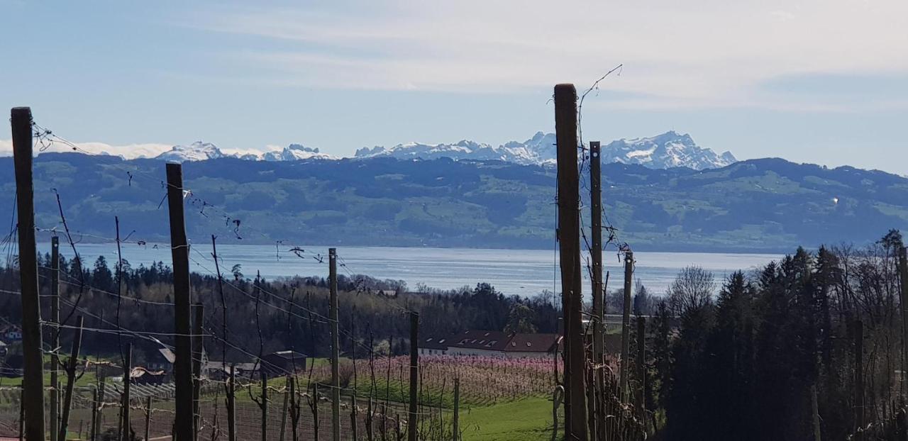 Alpenblick 3 Διαμέρισμα Bodolz Εξωτερικό φωτογραφία